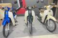 Khám phá Honda Super Cub 50 nhập Nhật Bản: biểu tượng 50cc bền bỉ, tinh tế và giàu giá trị sưu tầm