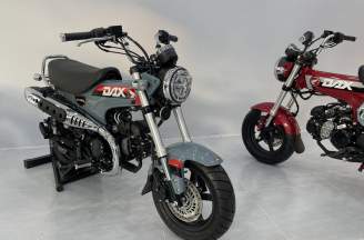 ĐÁNH GIÁ Honda Dax 125 Trail Sport tính năng - ưu nhược điểm - giá bán