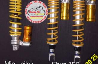 Ohlins forks can be mounted on many models
