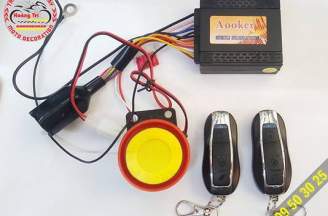 Remote anti-theft Aooker device
