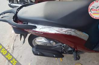 Vision 2014 side brace chrome
