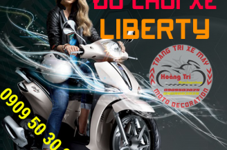 Synthesis of Liberty car toys
