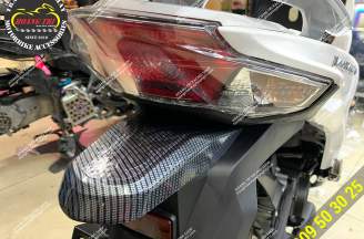 Vision 2021 tail lights with carbon paint
