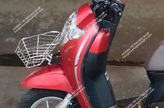 Stainless steel basket for Scoopy
