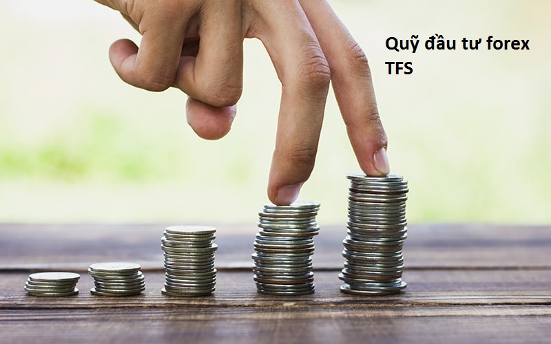 Quỹ đầu tư forex TFS