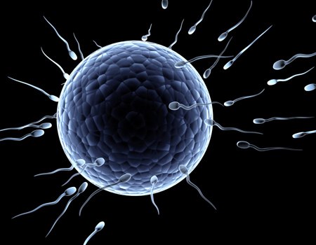 Những dấu hiệu tinh trùng đã gặp trứng – dấu hiệu mang thai